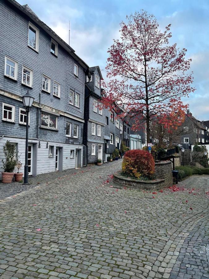 Wohnen In Malerischer Altstadt Siegen Exteriér fotografie